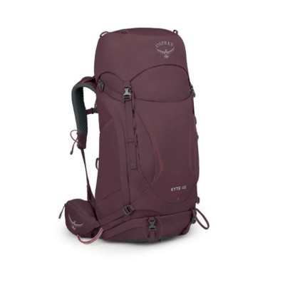 Elderberry Purple